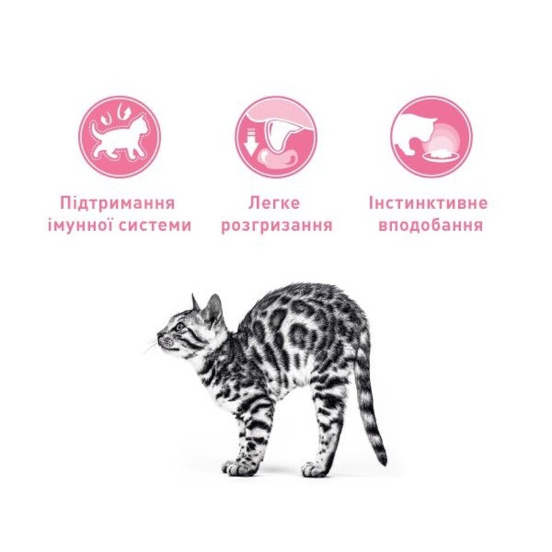 Royal Canin Kitten Loaf Консерви для кошенят