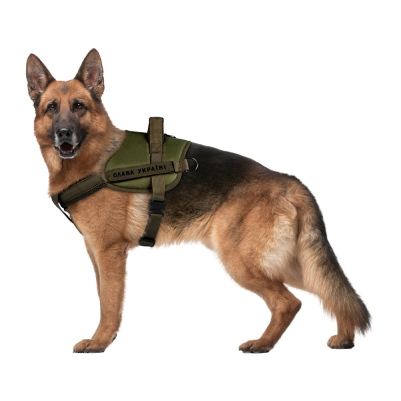 Collar Waudog Pro Шлей для службових собак хакі
