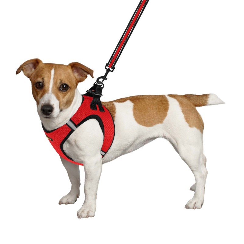 Bronzedog Mesh Vest Шлей для собак 3D сітка червона