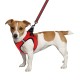 Bronzedog Mesh Vest Шлей для собак 3D сітка червона