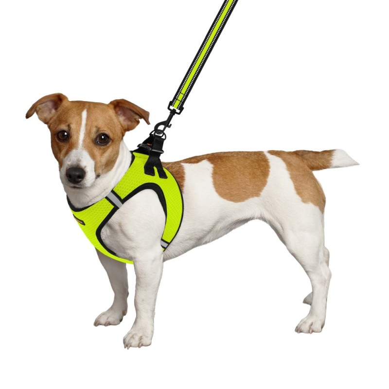 Bronzedog Mesh Vest Шлей для собак 3D лимонна сітка
