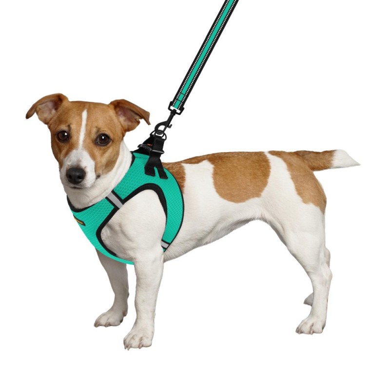 Bronzedog Mesh Vest Шлей для собак 3D сітка ментолова