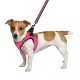Bronzedog Mesh Vest Шлей для собак 3D сітка рожева