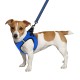 Bronzedog Mesh Vest Шлей для собак 3D сітка синя