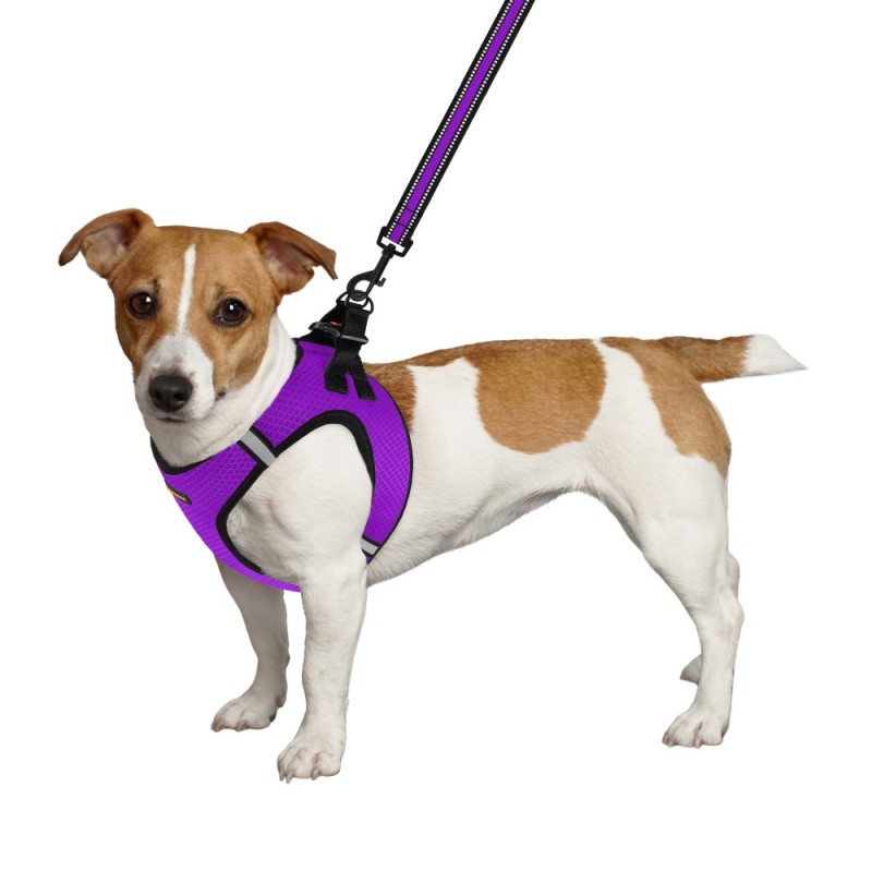 Bronzedog Mesh Vest Шлей для собак 3D сітка фіолетова