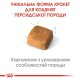 Royal Canin Kitten Persian Сухий корм для кошенят