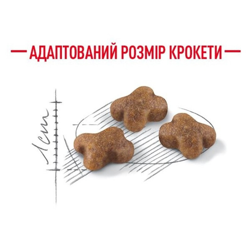 Royal Canin Kitten Sterilised Сухий корм для стерилізованих кошенят