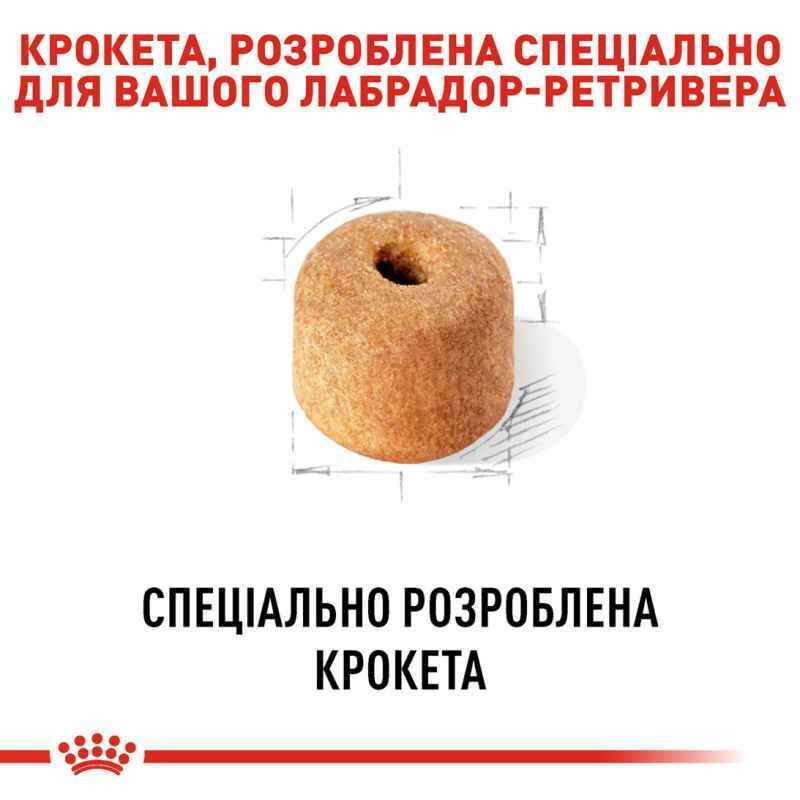 Royal Canin Labrador Adult Сухий корм для собак