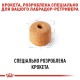 Royal Canin Labrador Adult Сухий корм для собак