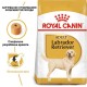 Royal Canin Labrador Adult Сухий корм для собак
