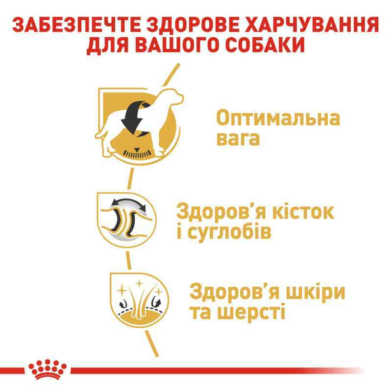 Royal Canin Labrador Adult Сухий корм для собак
