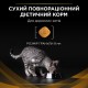 Лікарський корм для дорослих котів Pro Plan Veterinary Diets NF