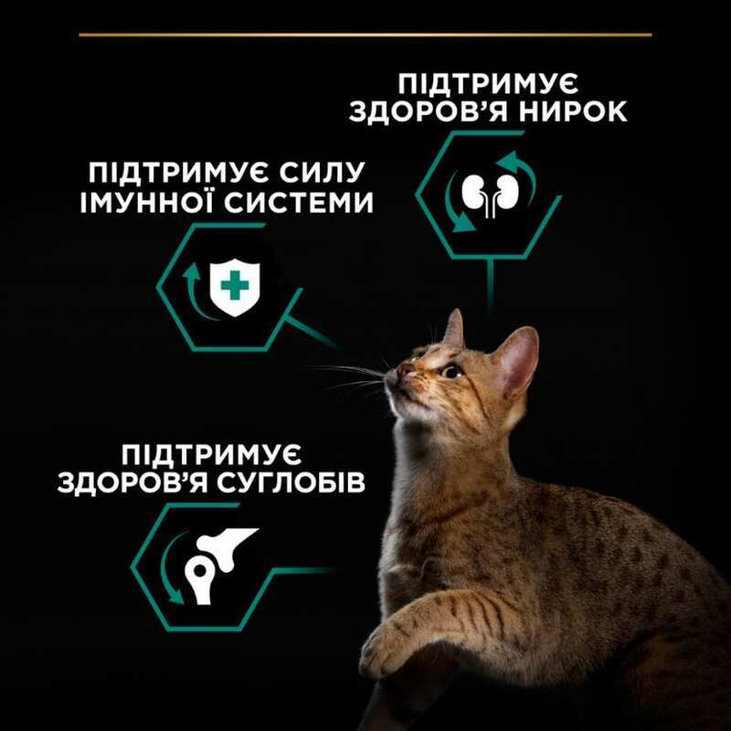 Pro Plan Adult Renal Plus Chicken Сухий корм для дорослих кішок з куркою