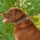 Bronzedog Urban Нашийник напівзашморг для собак етнічний нейлоновий з металевою ментоловою фурнітурою