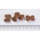 Brit Care Dog Crunchy Cracker Insects with Turkey Лакомства для взрослых собак с насекомыми и индейкой