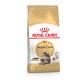 Royal Canin Mainecoon Adult Сухий корм для дорослих кішок