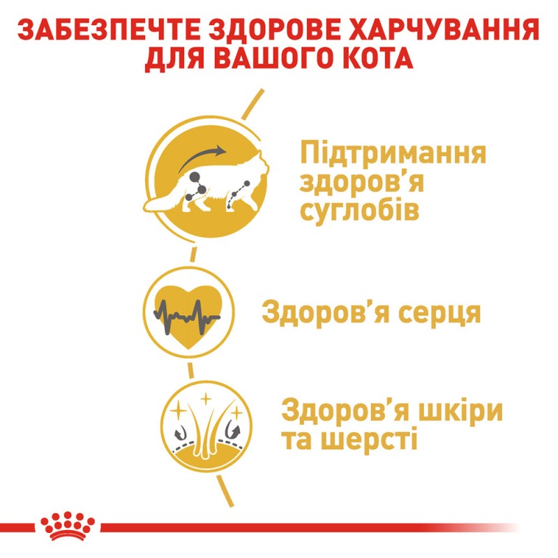 Royal Canin Mainecoon Adult Сухий корм для дорослих кішок