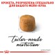 Royal Canin Mainecoon Adult Сухий корм для дорослих кішок