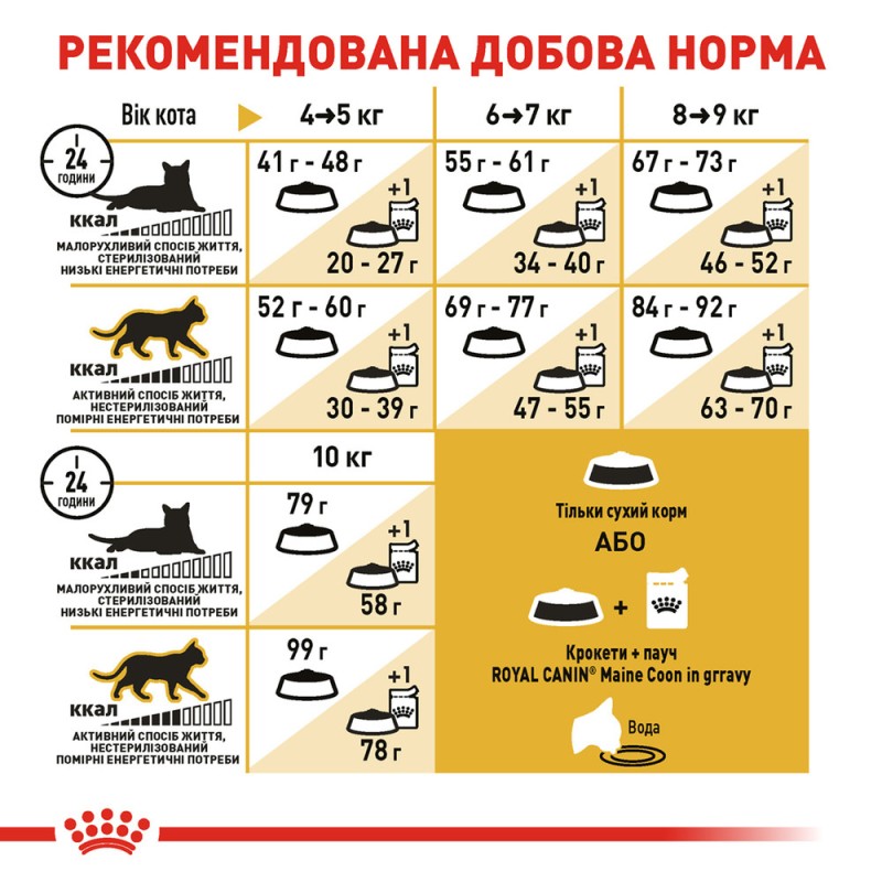 Royal Canin Mainecoon Adult Сухий корм для дорослих кішок