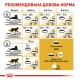 Royal Canin Mainecoon Adult Сухий корм для дорослих кішок