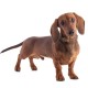 Bronzedog Classic Нашийник для собак хвиля фіолетовий
