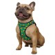 Bronzedog Sport Vest Шлей для собак авокадо