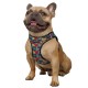 Bronzedog Sport Vest Шлей для собак вітраж