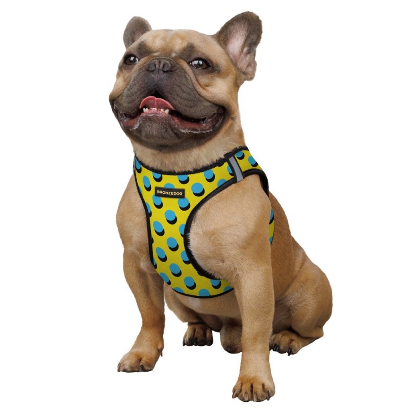 Bronzedog Sport Vest Шлей для собак поп арт