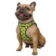 Bronzedog Sport Vest Шлей для собак поп арт