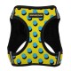 Bronzedog Sport Vest Шлей для собак поп арт