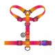 Collar Waudog Nylon Recycled Шлей для собак нейлоновий c QR паспортом градієнт помаранчевий