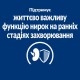 Hills Prescription Diet Canine k/d Kidney Care Early Stage Лікувальний корм для дорослих собак при захворюваннях нирок