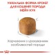 Royal Canin Mainecoon Kitten Сухий корм для кошенят