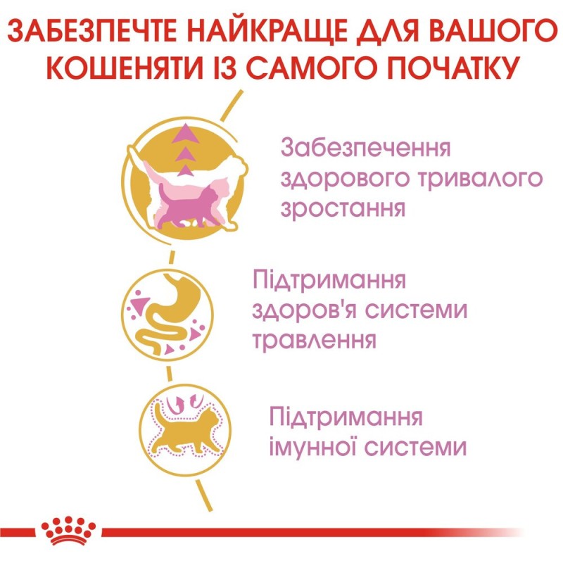 Royal Canin Mainecoon Kitten Сухий корм для кошенят