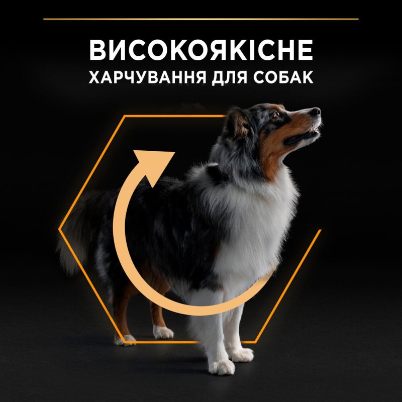 Pro Plan Adult Medium Everyday Nutrition Chicken Сухой корм для взрослых собак средних пород с курицей