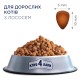 Club 4 Paws Premium Adult Salmon Сухий корм для дорослих кішок з лососем