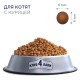 Club 4 Paws Premium Kitten Сухий корм для кошенят з куркою