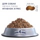 Club 4 Paws Premium Adult Small Breeds Lamb & Rice Сухий корм для дорослих собак дрібних порід з ягнятком та рисом