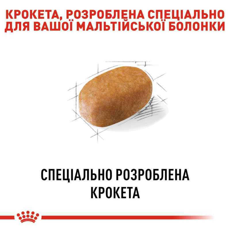 Royal Canin Maltese Adult Сухий корм для собак