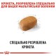 Royal Canin Maltese Adult Сухий корм для собак