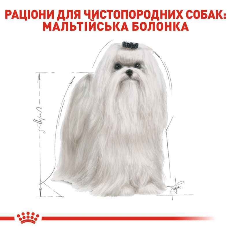 Royal Canin Maltese Adult Сухий корм для собак