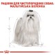 Royal Canin Maltese Adult Сухий корм для собак