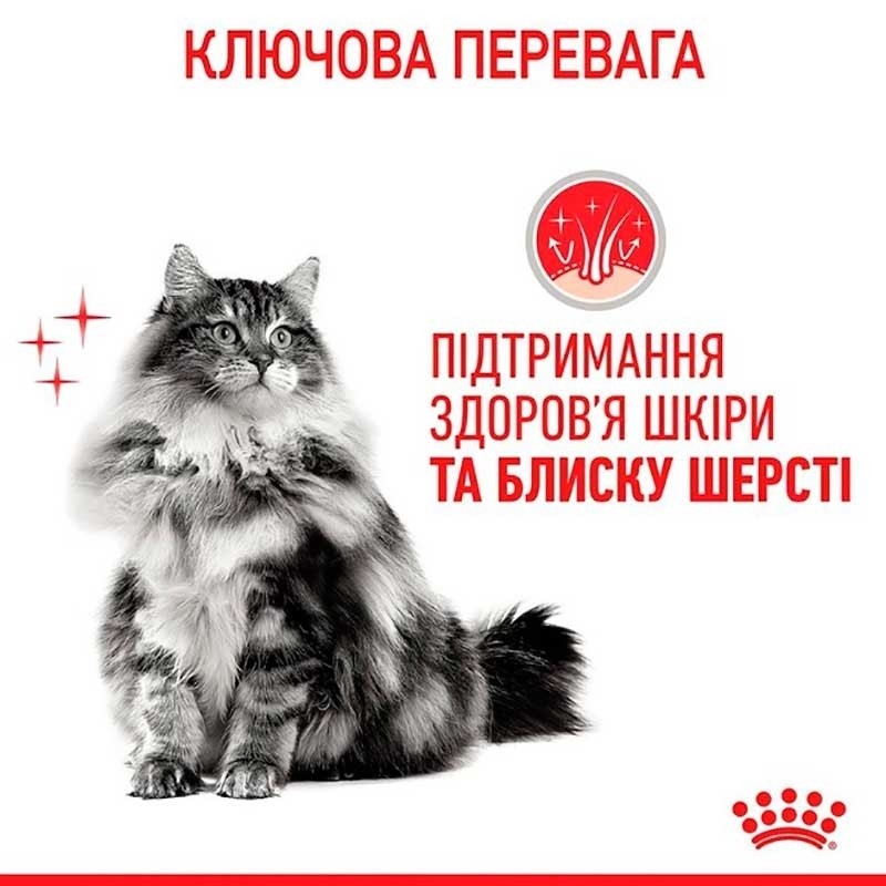 Royal Canin Hair & Skin Care in Gravy Консервы для взрослых кошек