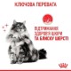 Royal Canin Hair & Skin Care in Gravy Консервы для взрослых кошек