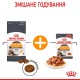 Royal Canin Hair & Skin Care in Gravy Консервы для взрослых кошек