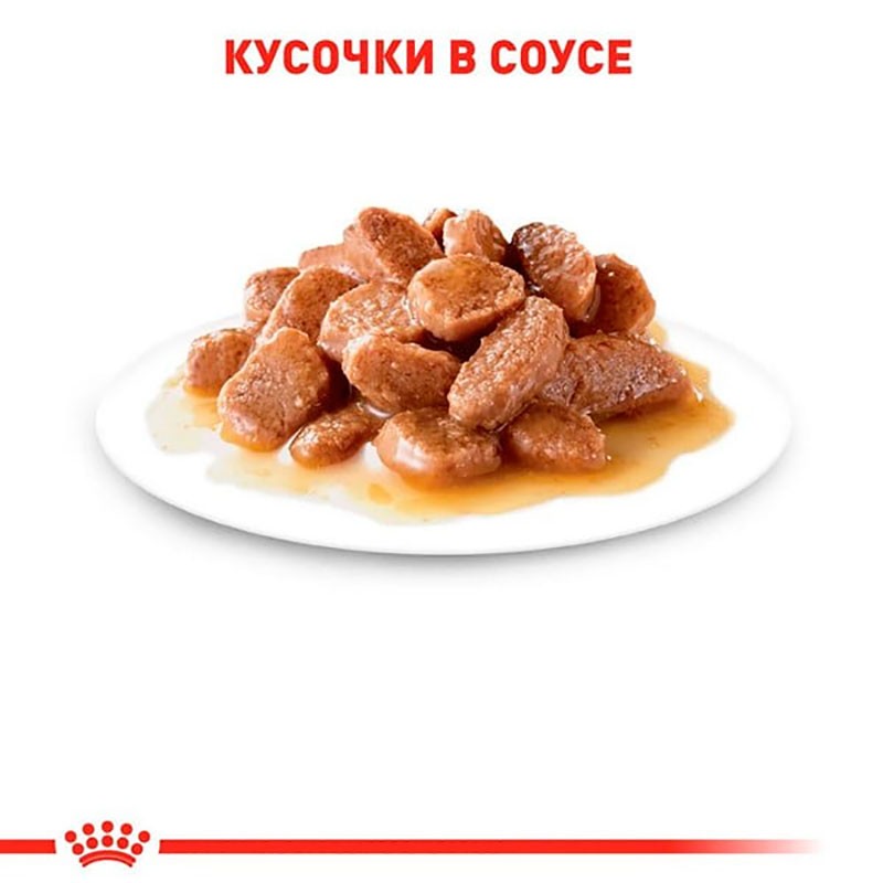 Royal Canin Hair & Skin Care in Gravy Консервы для взрослых кошек