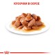 Royal Canin Hair & Skin Care in Gravy Консервы для взрослых кошек