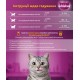 Whiskas TastyMix Консервы для взрослых кошек с ягненком, курицей и морковью