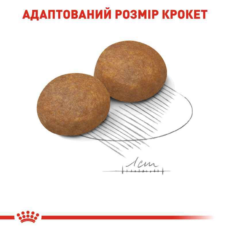 Royal Canin Maxi Adult 5+ Сухий корм для собак