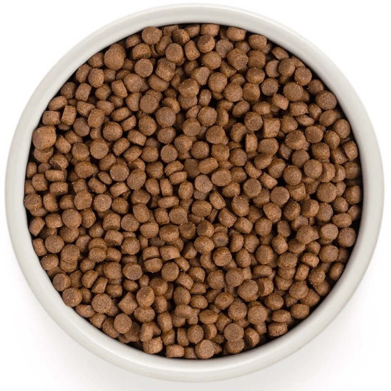 Grandorf Cat Indoor 4 Meat & Brown Rice Сухой корм для взрослых кошек живущих в помещении